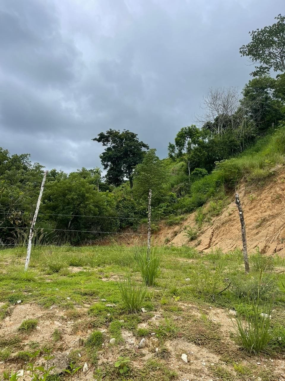 WhatsApp Image 2024-03-24 at 4.11.58 PM (1)