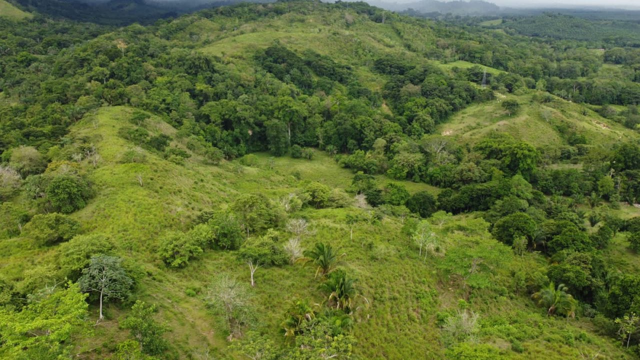 WhatsApp Image 2024-03-24 at 4.11.58 PM