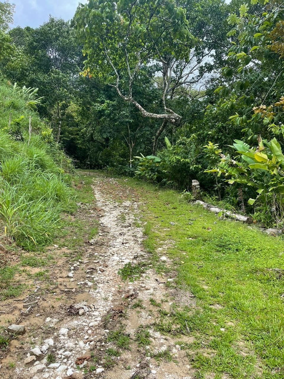 WhatsApp Image 2024-03-24 at 4.11.59 PM