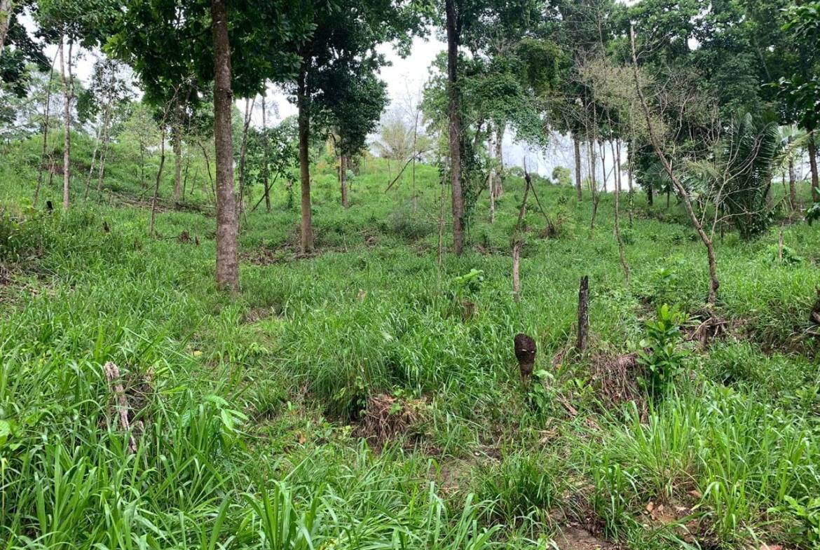 WhatsApp Image 2024-03-24 at 4.12.05 PM (1)