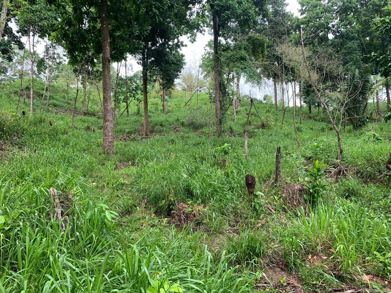 WhatsApp Image 2024-03-24 at 4.12.05 PM (1)