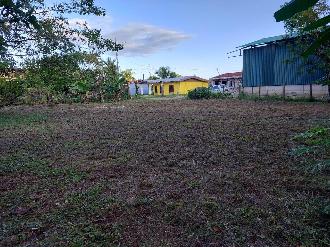 WhatsApp Image 2024-03-24 at 4.14.08 PM