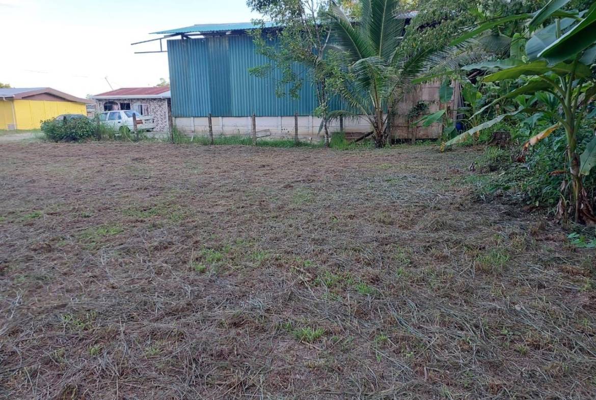 WhatsApp Image 2024-03-24 at 4.14.10 PM