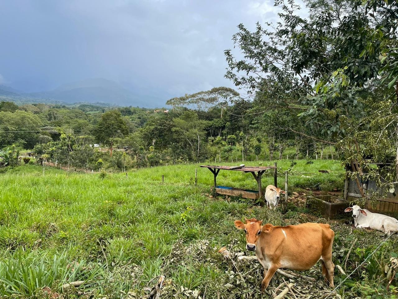 WhatsApp Image 2024-03-24 at 4.26.23 PM