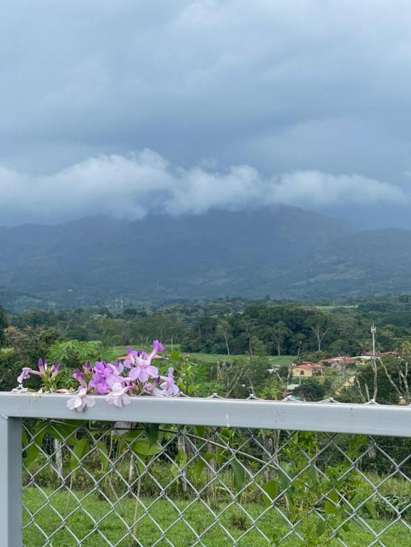 WhatsApp Image 2024-03-24 at 4.26.25 PM (1)