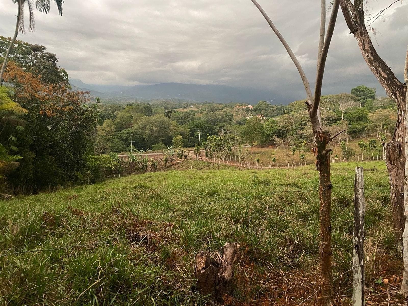 WhatsApp Image 2024-03-24 at 4.54.57 PM