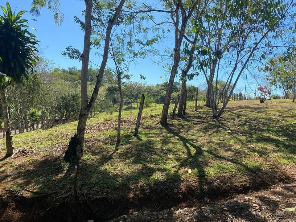 WhatsApp Image 2024-03-24 at 4.54.59 PM