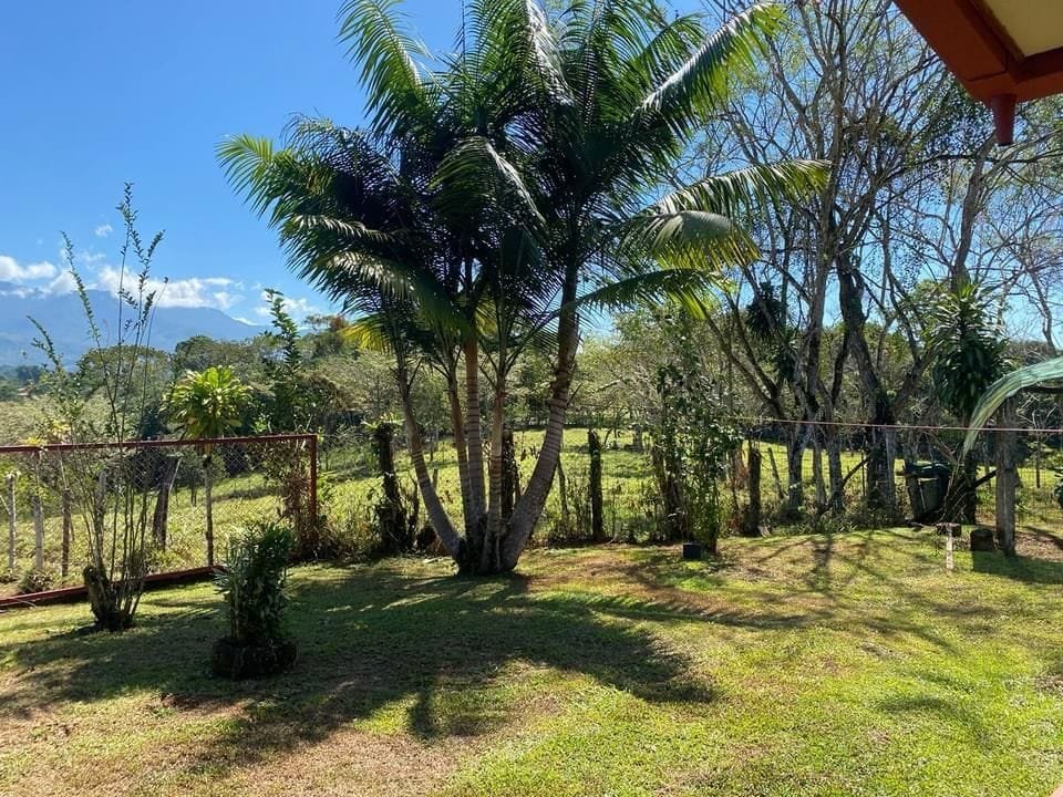 WhatsApp Image 2024-03-24 at 4.55.00 PM