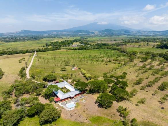 cs2300035_img-3_large