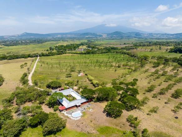 cs2300035_img-3_large