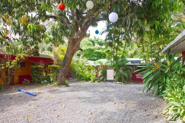 cs2300047_img-11_large