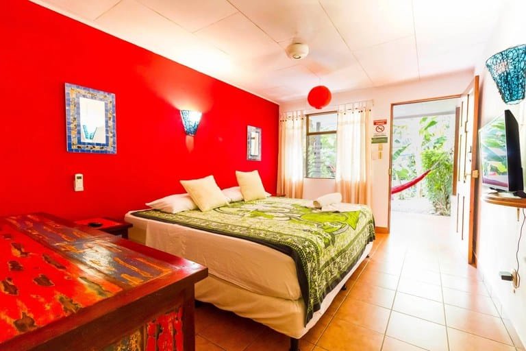 cs2300047_img-6_large