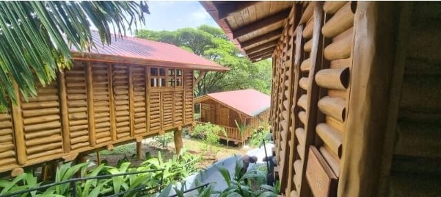 cs2300059_img-3_large