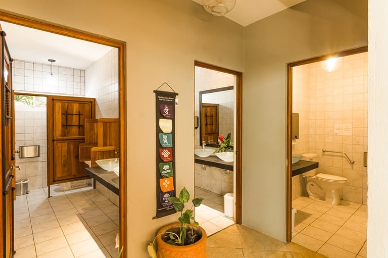 cs2300066_img-39_large