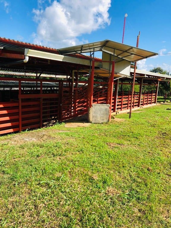 cs2300071_img-11_large