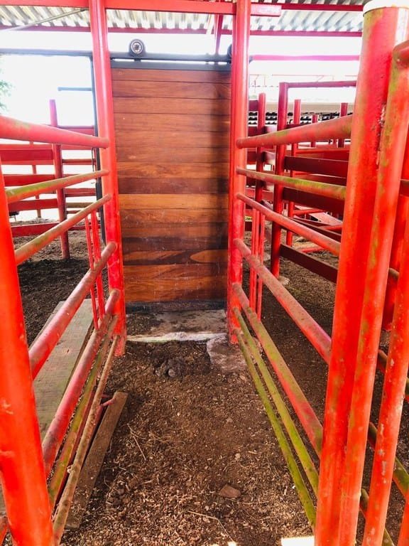 cs2300071_img-12_large