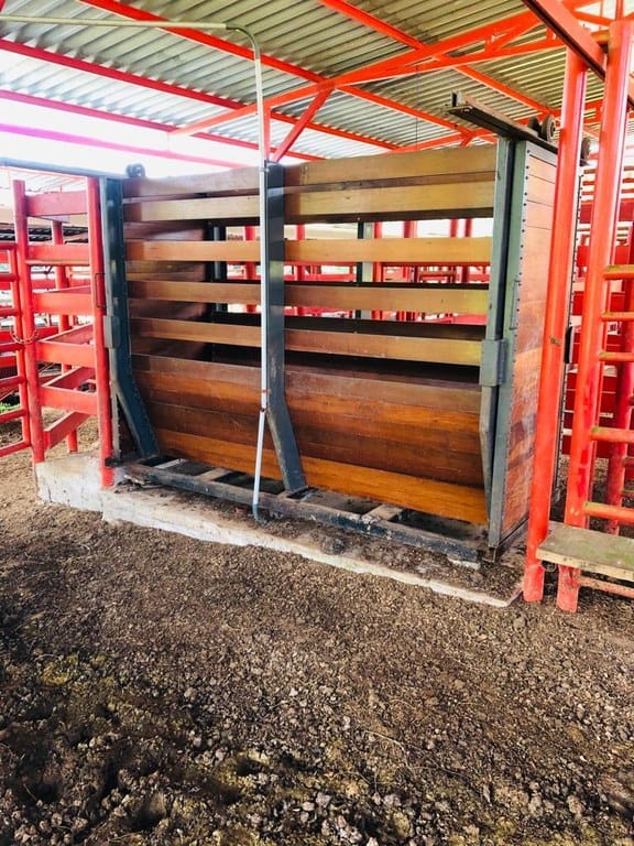 cs2300071_img-13_large