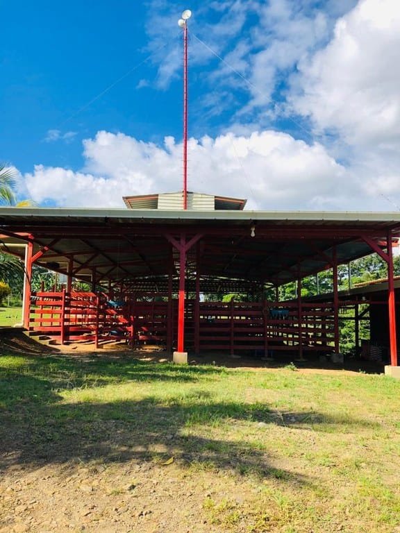 cs2300071_img-20_large