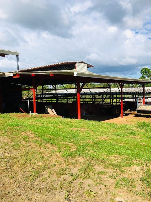 cs2300071_img-21_large