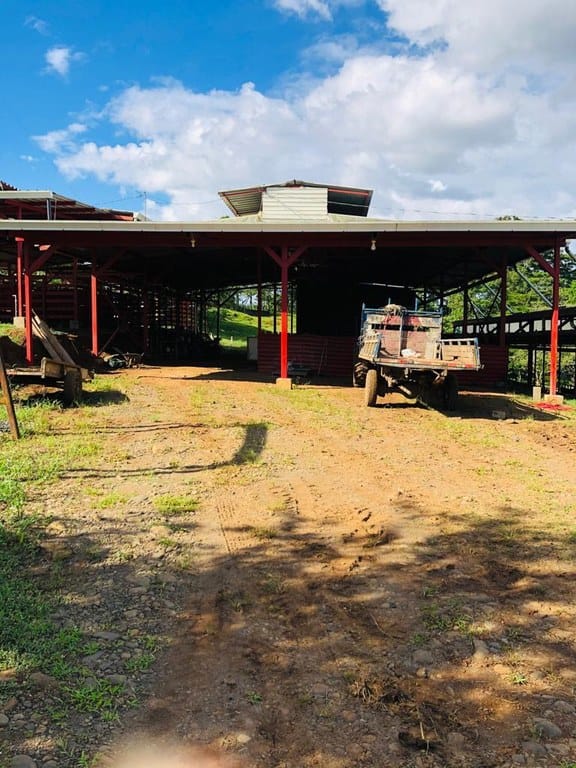 cs2300071_img-22_large