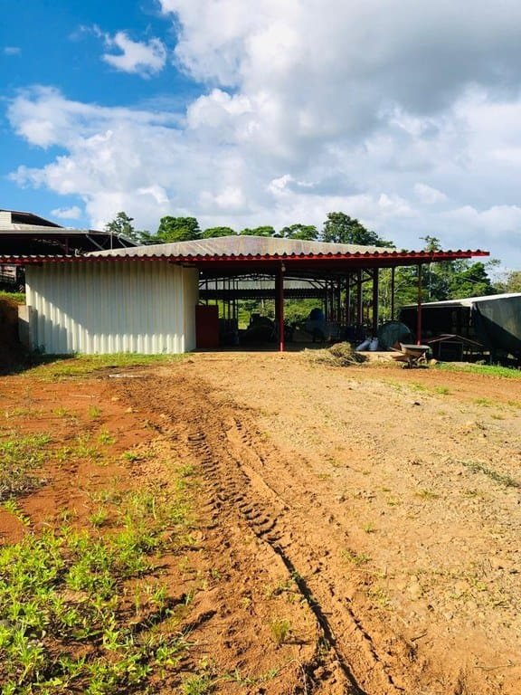 cs2300071_img-24_large