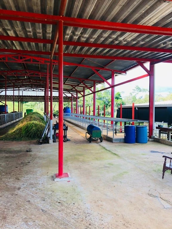 cs2300071_img-27_large