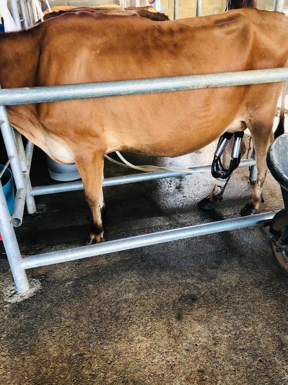 cs2300071_img-28_large