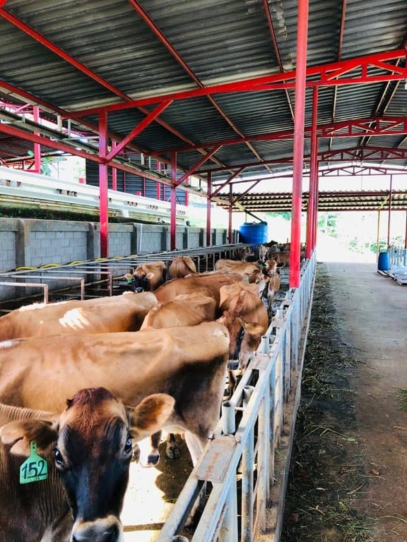 cs2300071_img-30_large