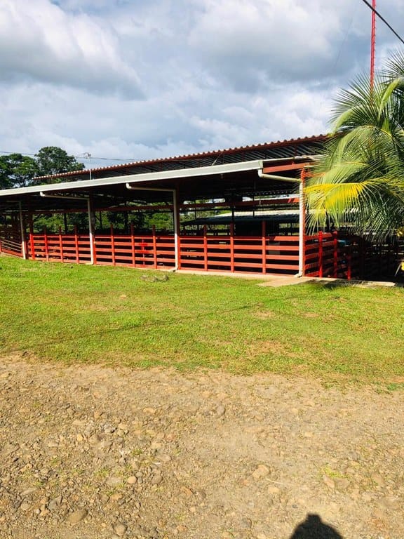 cs2300071_img-31_large