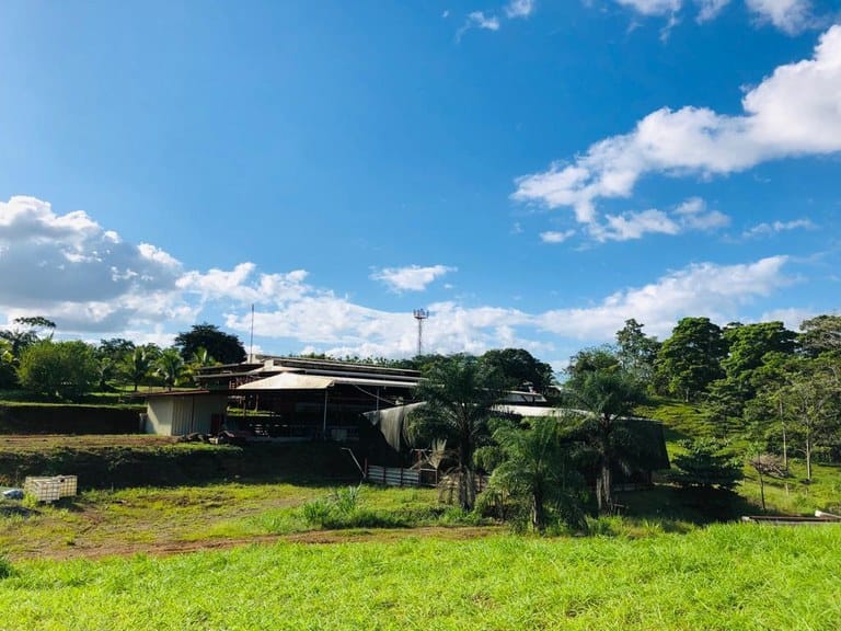 cs2300071_img-34_large