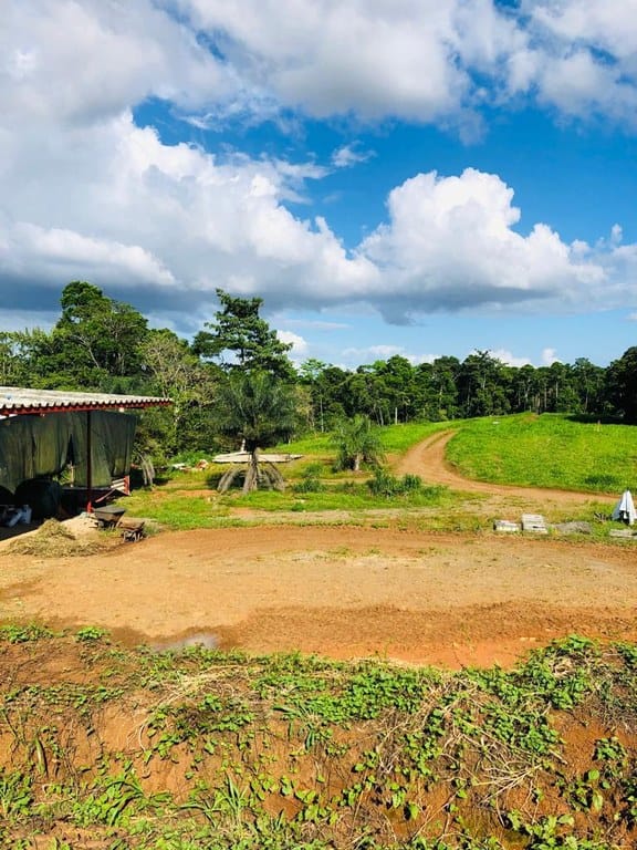 cs2300071_img-35_large