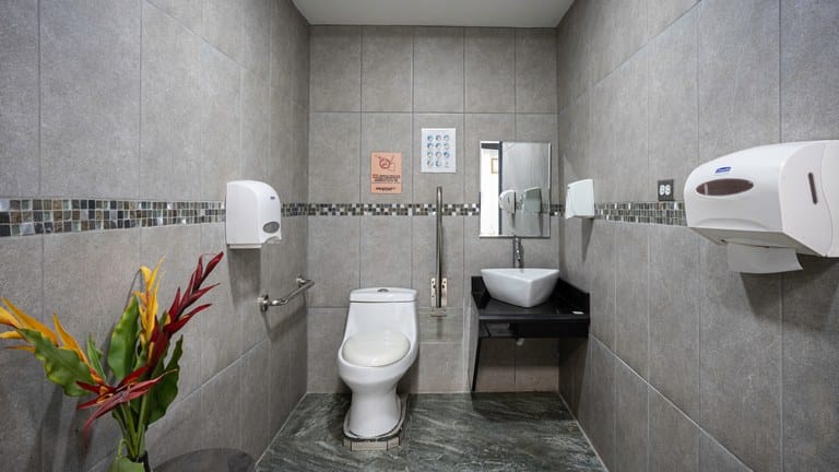 cs2300082_img-3_large