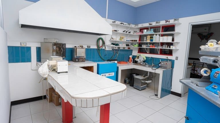 cs2300082_img-7_large