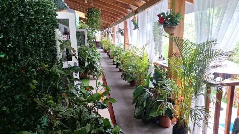 cs2300090_img-13_large