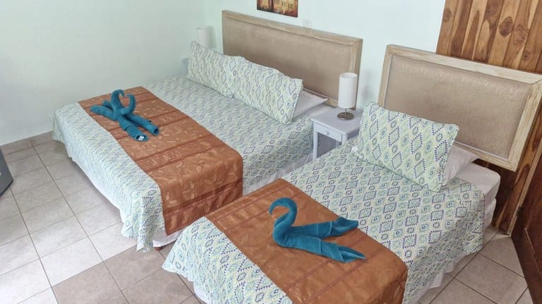 cs2300090_img-16_large