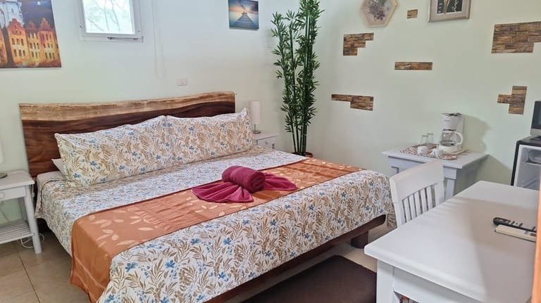 cs2300090_img-17_large