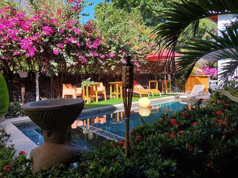 cs2300090_img-2_large