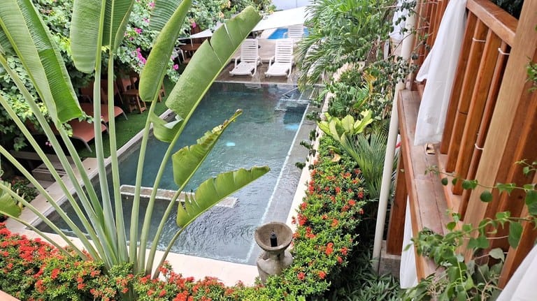 cs2300090_img-3_large