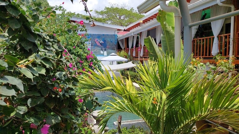 cs2300090_img-4_large