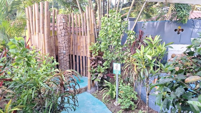 cs2300090_img-7_large