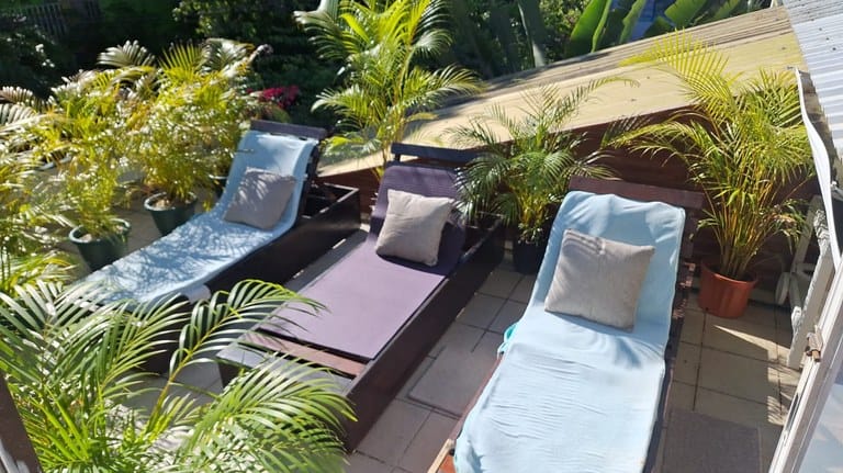 cs2300090_img-9_large