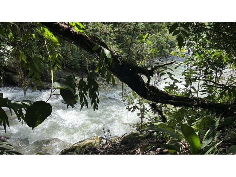 cs2400017_img-12_large