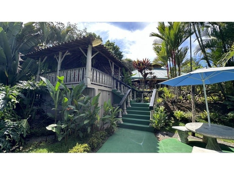 cs2400017_img-23_large (1)