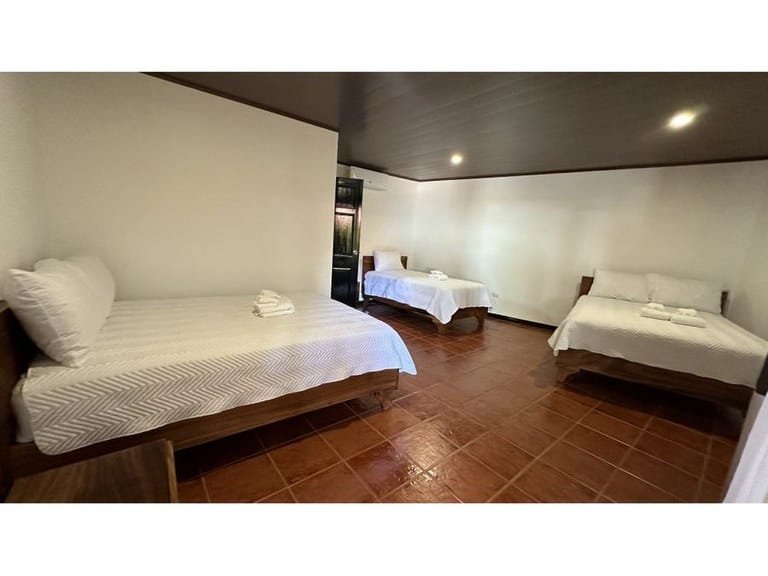 cs2400017_img-41_large