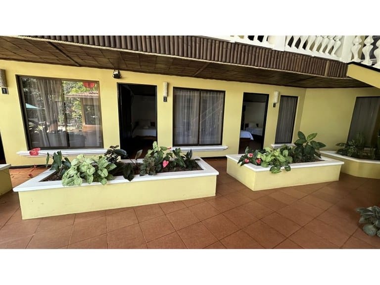 cs2400017_img-58_large