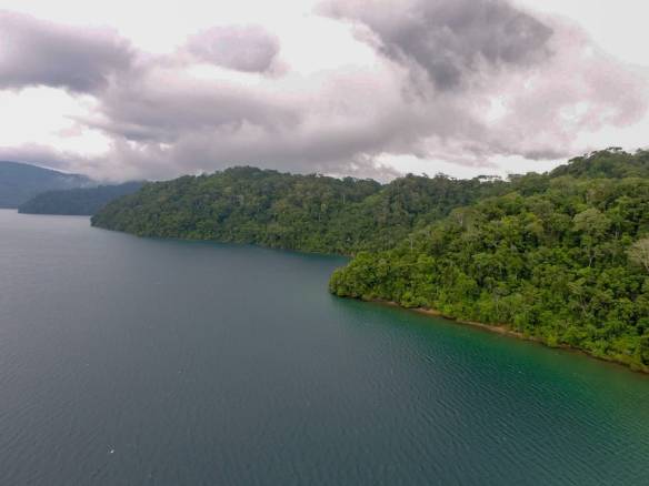 040cfd9c-f025-42c1-b2fa-49a2b1c5ea2c