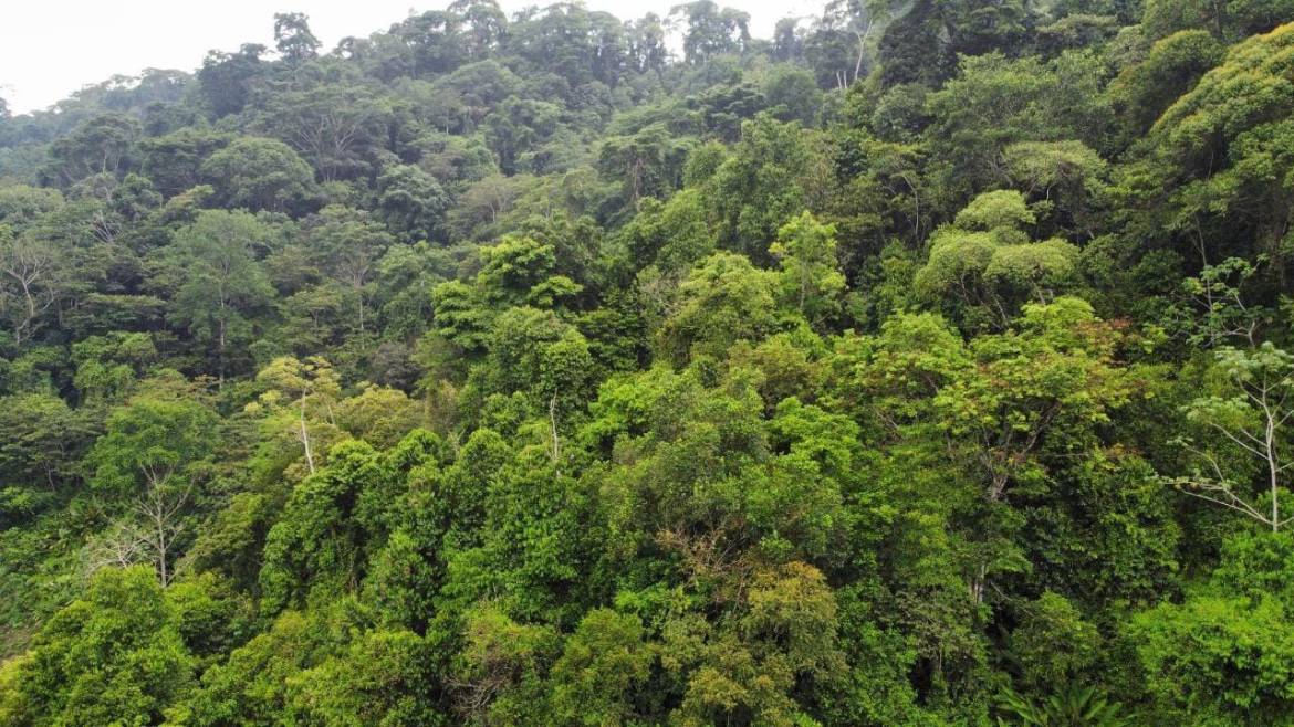 0f6c15df-31e8-478d-8759-968cb4f46e02-min