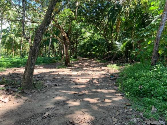 18f5146f-72e8-4178-afec-1236fbe1140f