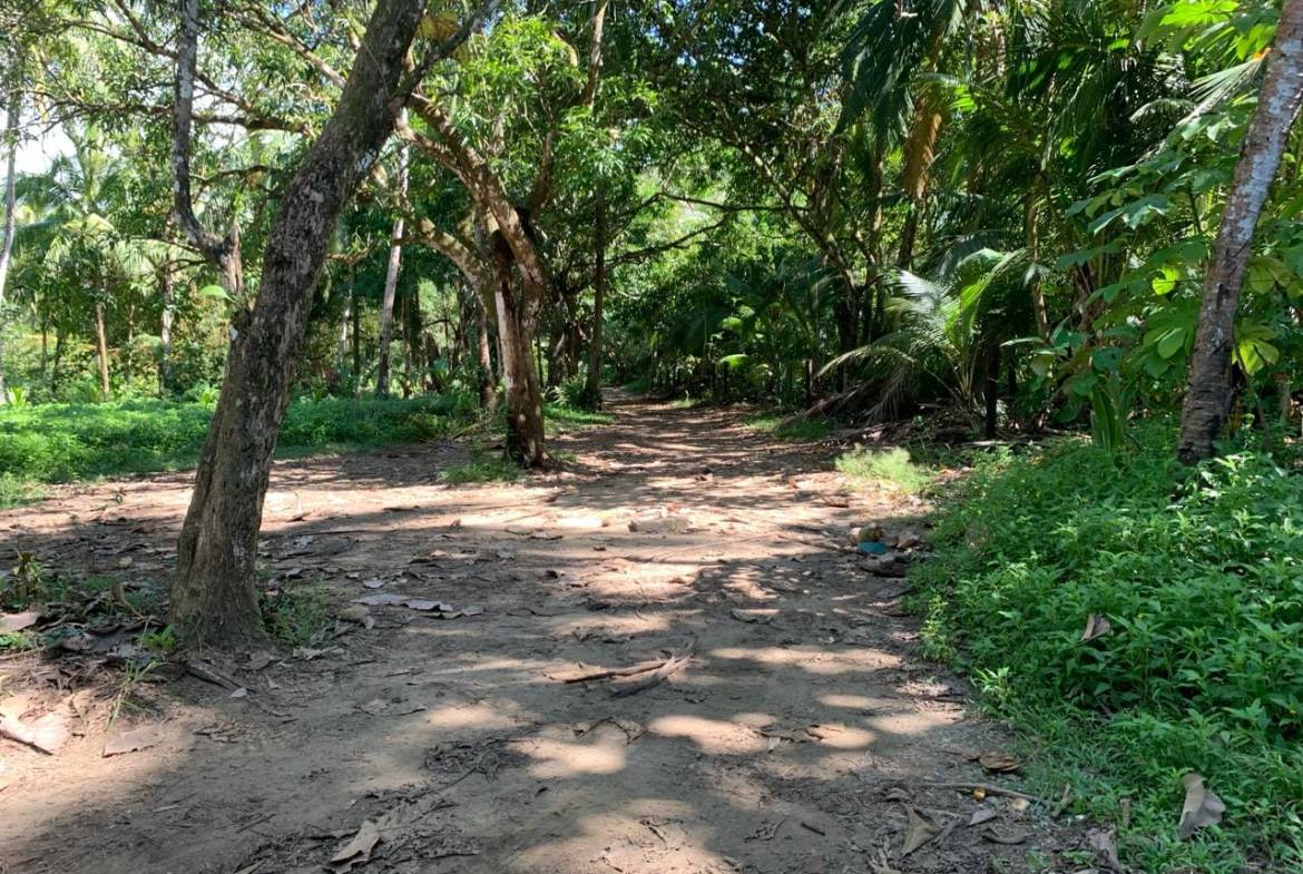 18f5146f-72e8-4178-afec-1236fbe1140f