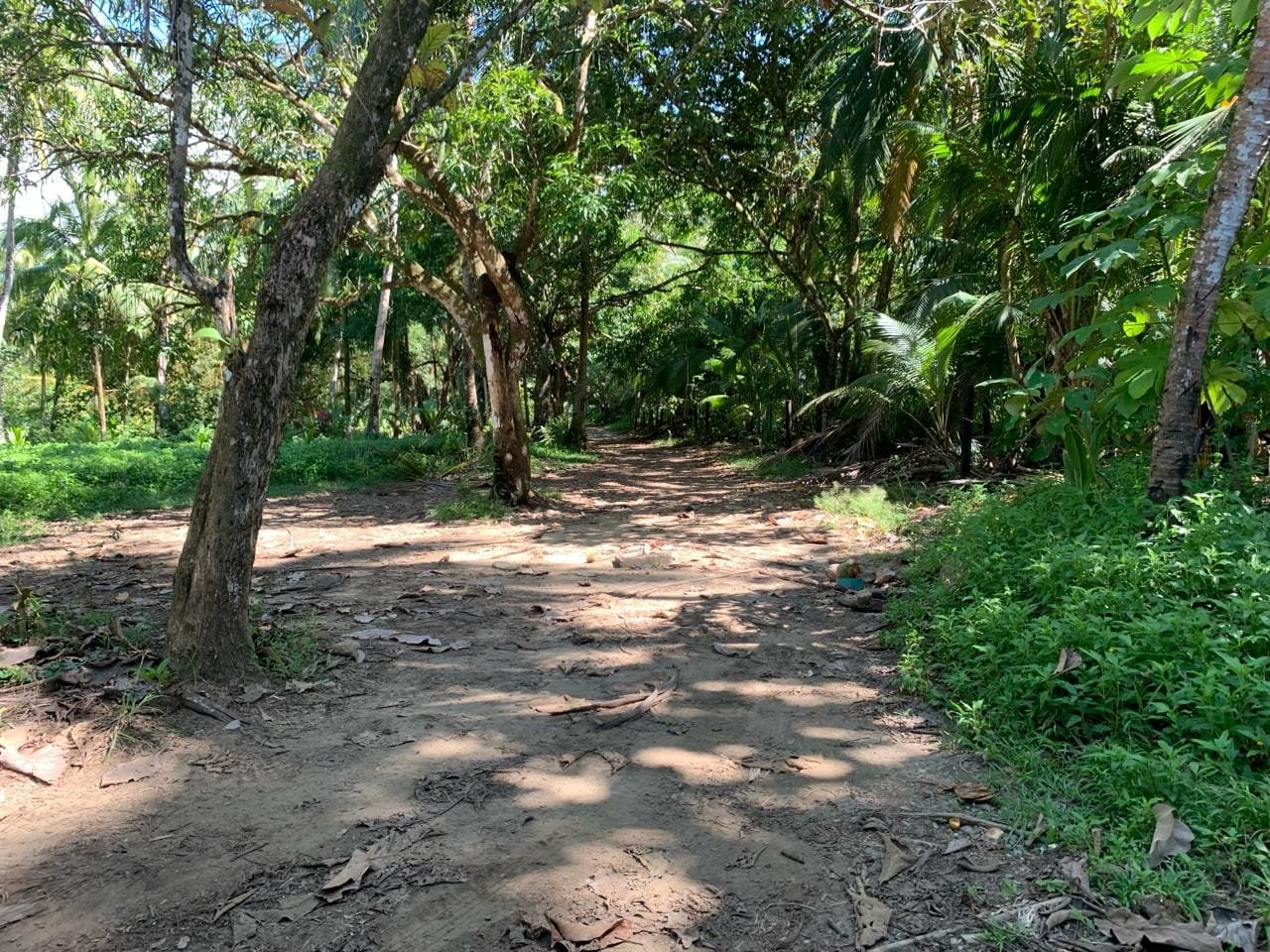 18f5146f-72e8-4178-afec-1236fbe1140f